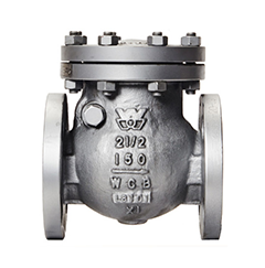 Check Valves