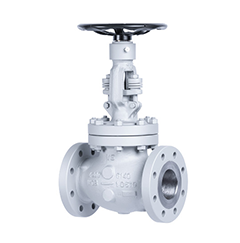 Globe Valves